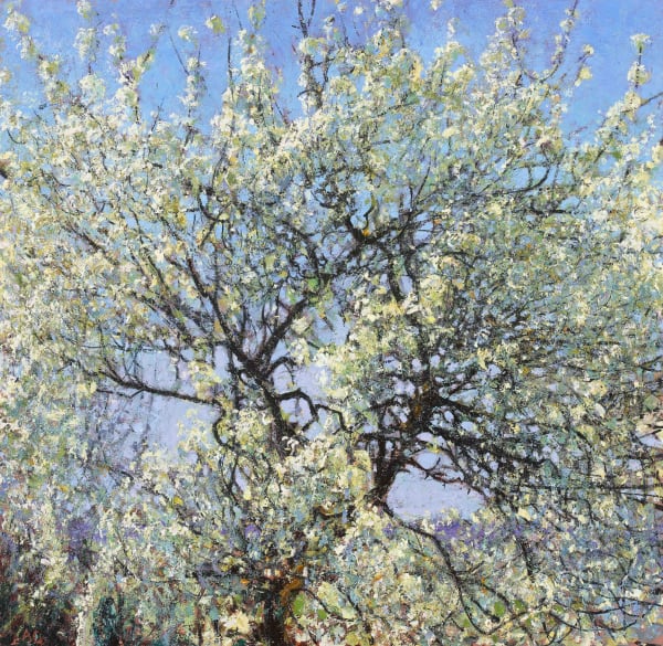 Andrew Gifford, Blackthorn & Blue Sky, 2021