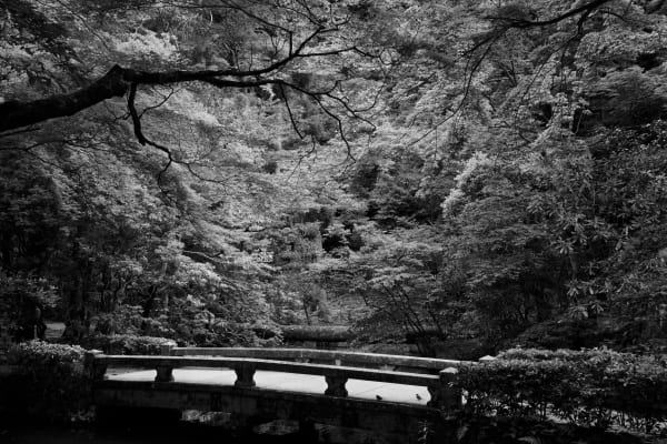 Amelia Stein, Hōnen-in (Two Birds)