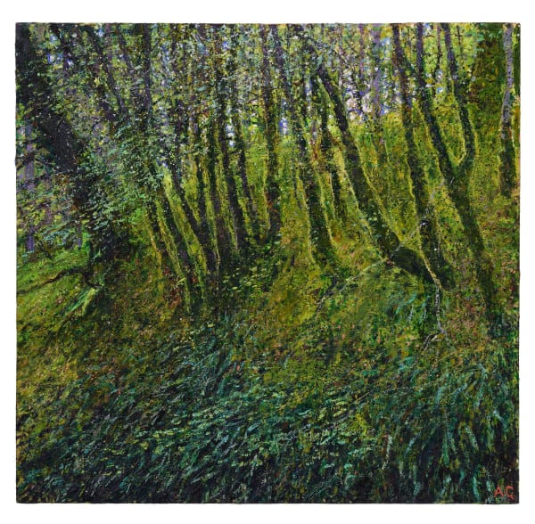 Andrew Gifford, 41. Side of River Valley near Oban, 2024/25