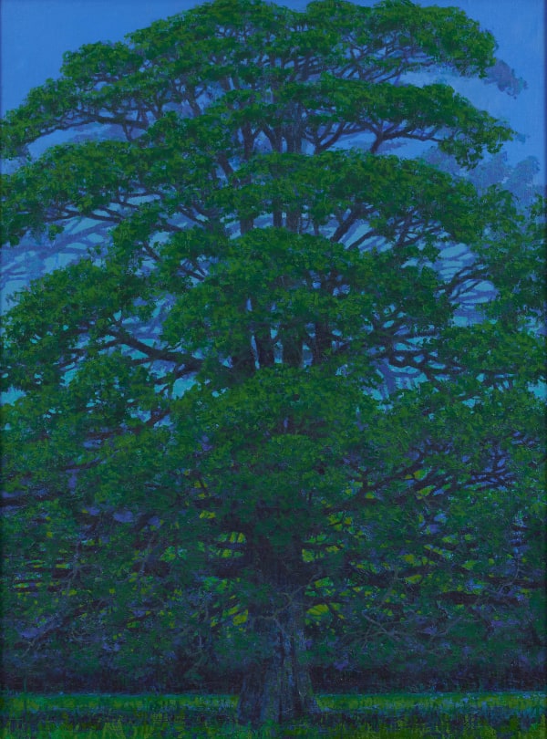 Francis Hamel, Oak Tree at Rousham, 2022