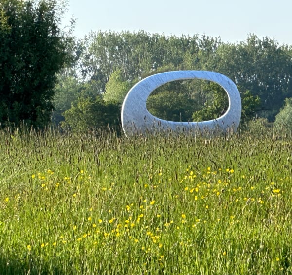 William Peers, Ortollo, 2016