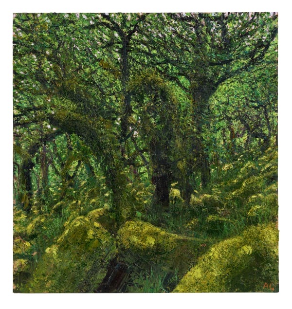Andrew Gifford, 7. Oaks and Mossy Boulders, Wistman's Wood , 2024