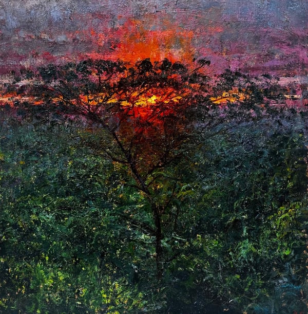 Andrew Gifford, Sunset, Nicoya II, 2025