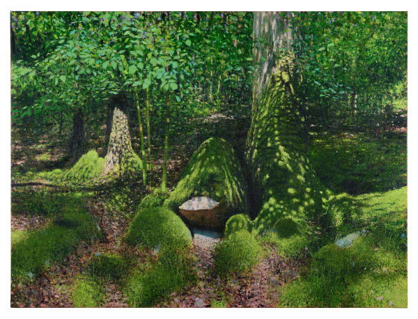 Andrew Gifford, 68. Mossy Boulders, Dolgellau, Ganllwyd, 2025