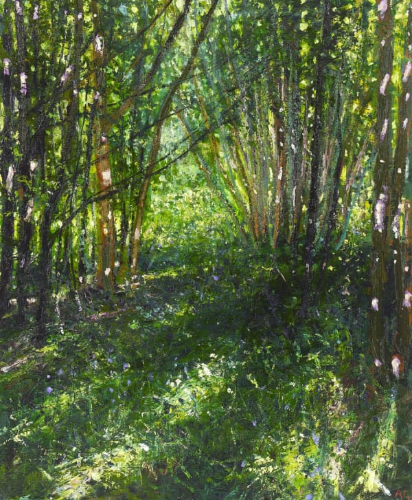 Andrew Gifford, Coppiced Sycamore with Fading Bluebells, May 2020, 2020