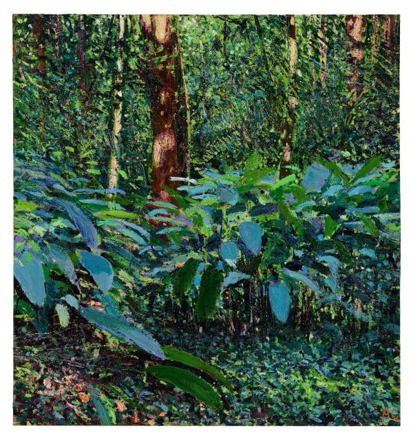 Andrew Gifford, Heleconia in Partial Shade, Nicoya, 2025