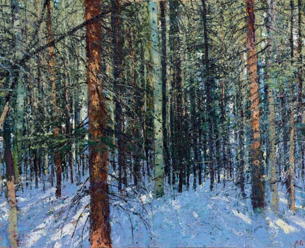 Andrew Gifford, Sunlight on the Pines and Aspen in Mueller State Park, 2024