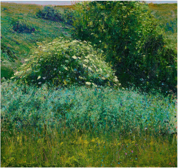 Andrew Gifford, 32. Elder in Sheepcote Valley, Sussex IV, 2022