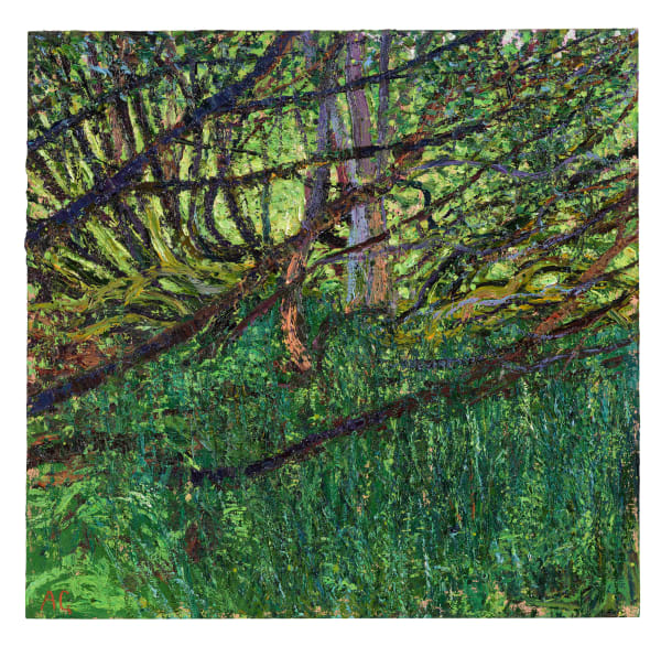 Andrew Gifford, 16. Swamp near Two Bridges, Dartmoor, 2024