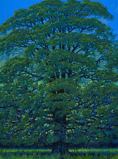 Francis Hamel, Oak Tree at Rousham, 2022
