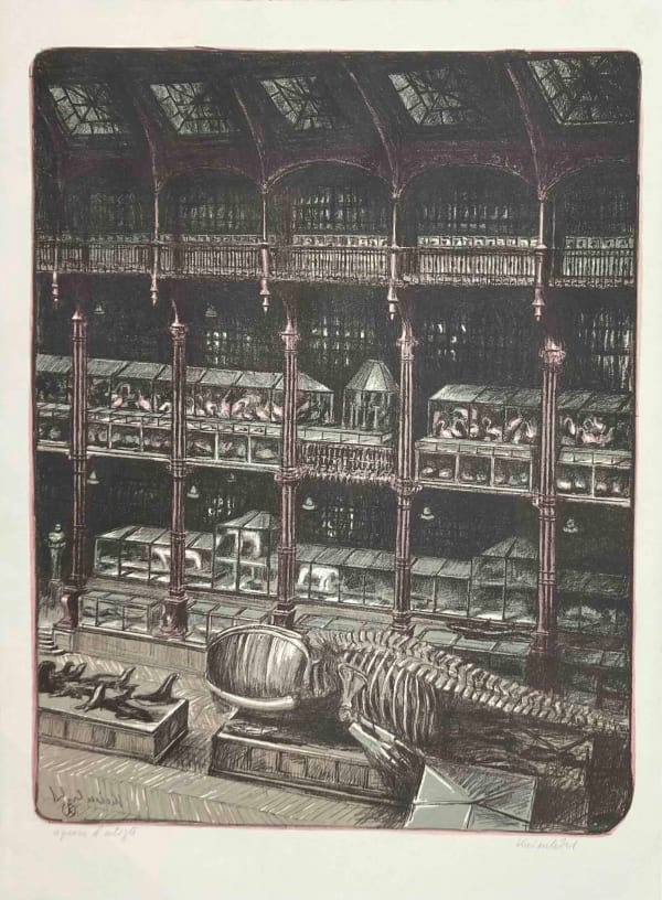 Jürg Kreienbühl, La grande galerie avec squelette de baleine, 1986