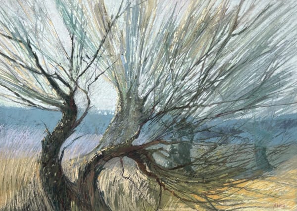 Jill Jeffrey, Split Willow