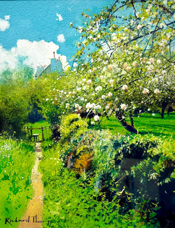 Richard Thorn May Blossom Watercolour on paper 33 x 26cm