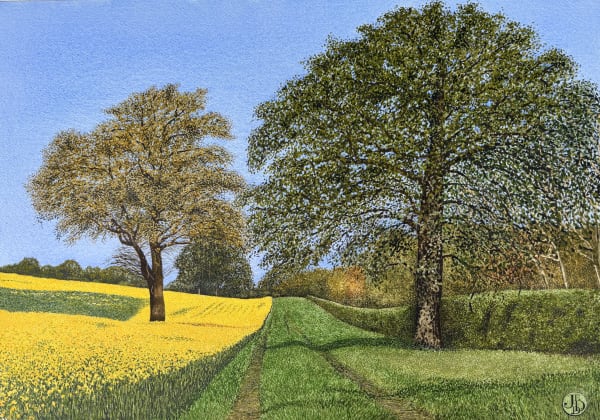 John Davies, A Field of Rape, South Warwickshire