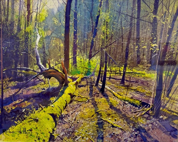 Richard Thorn The Woods Watercolour on paper 36 x 43 cm