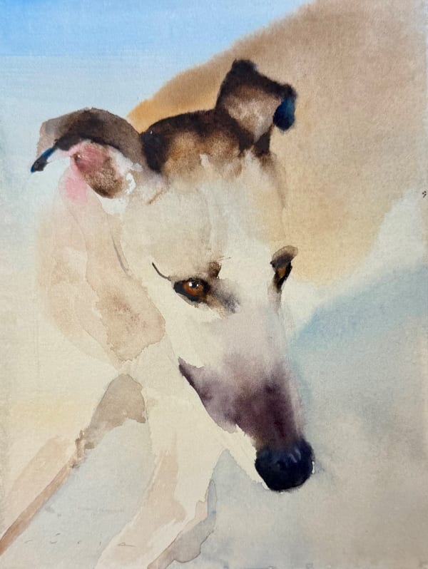 Nuria Riera A Greyhound Watercolour on paper 17 x 13cm