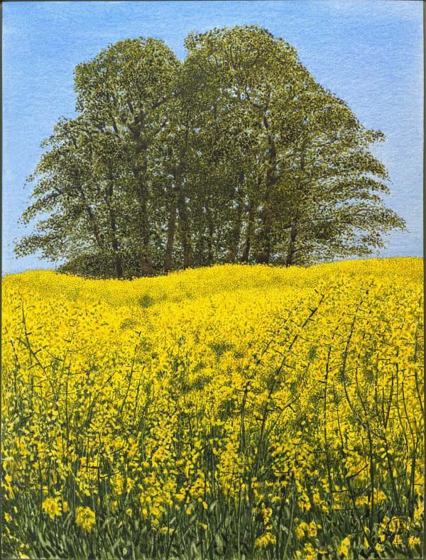 John Davies, In a Warwickshire Rape Field (II)