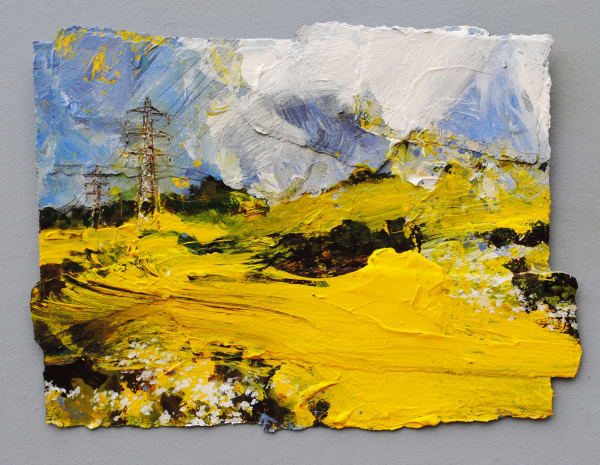 David Tress, Roundway Hill. Rape Field and Pylons II, 2018