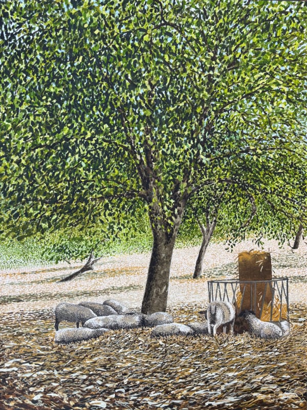 John Davies, Orchard with Sheep, Hot Day, near St Martial de Viveyrol, Dordogne, August 2023