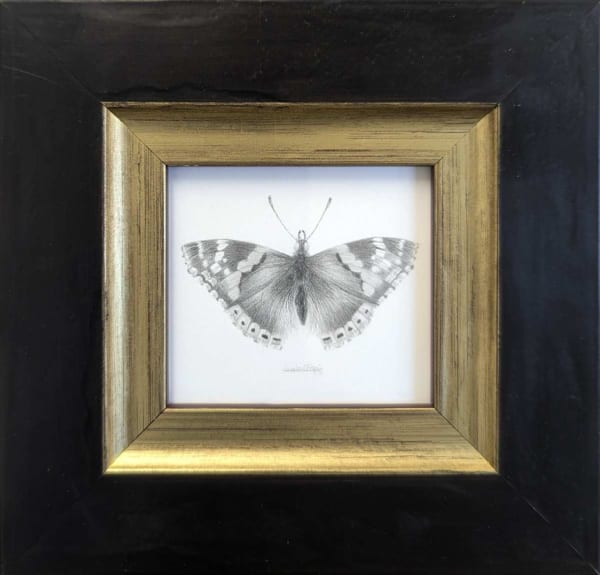 Louisa Crispin, Red Admiral (RA005)