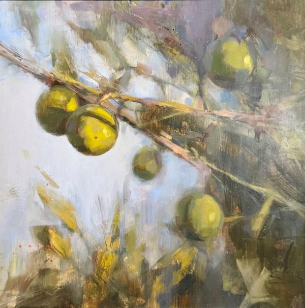 Bran Sivas Limes Oil on board 30 x 30cm