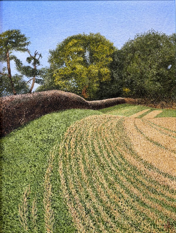 John Davies, A Field near Barton-on-the-Heath