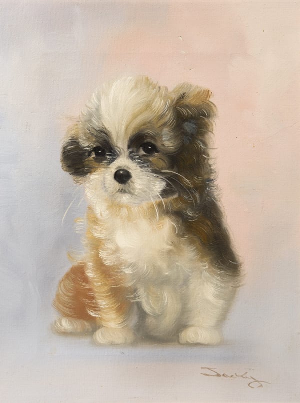 English School, 20th Century, Jacky - study of a puppy