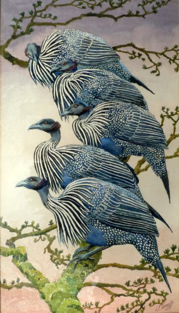 Charles F Tunnicliffe RA RE ARCA OBE - African Dusk - Guinea Fowl