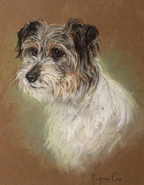 Marjorie Cox - Study of a rough-haired terrier