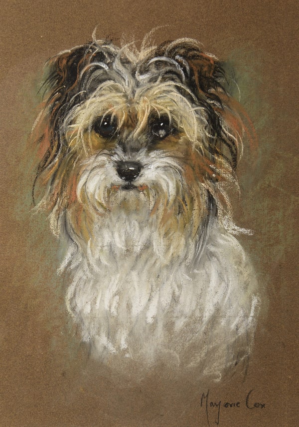 Marjorie Cox, Bright Eyes - a rough-haired terrier (full face)