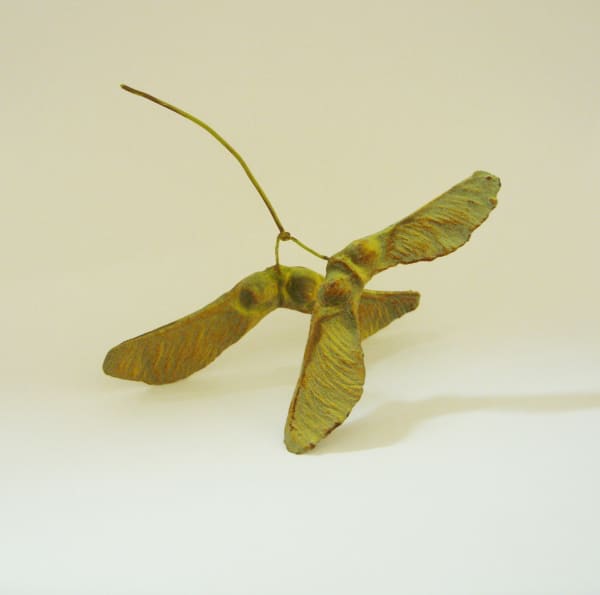 Penkridge Ceramics - Double Sycamore Seed