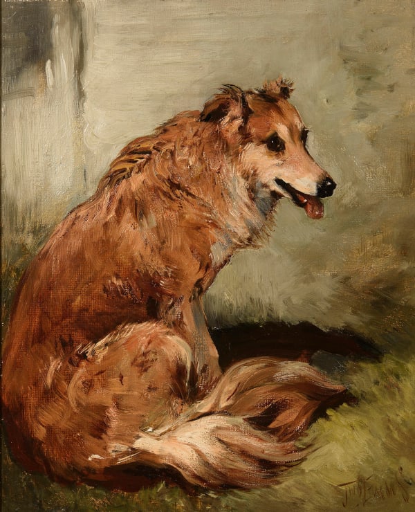 John Emms - Study of a Collie sheepdog