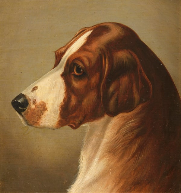 John Alfred Wheeler - Head of a Foxhound