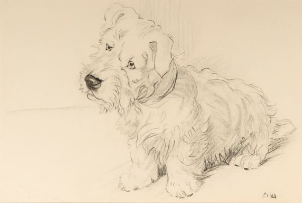 David Wright - Time for supper - a puppy