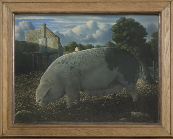 James Lynch, Mary (Old Spot Sow)