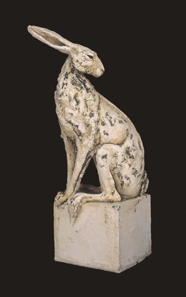 Tanya Brett, Large hare