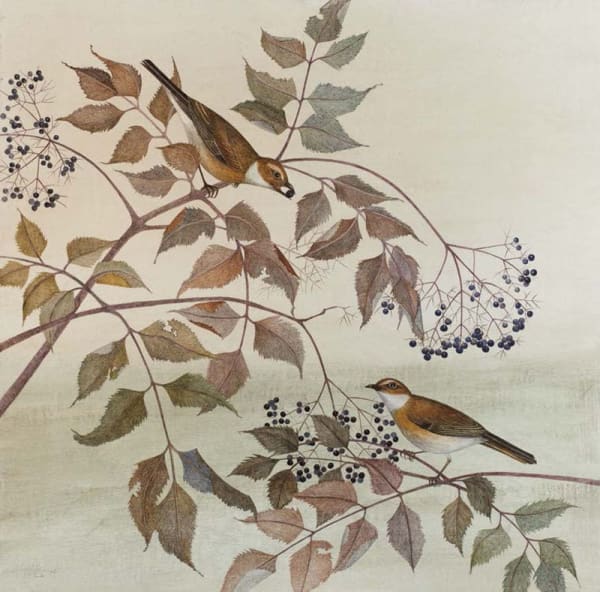 Harriet Bane, Imagined Birds