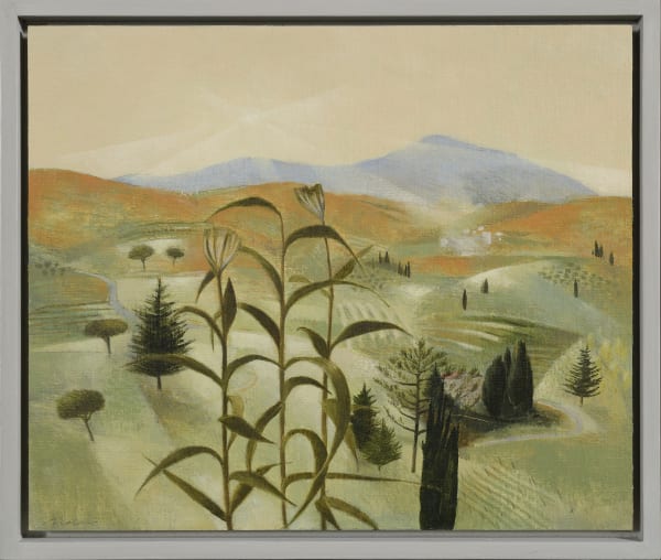 Tom Mabon, Evening in the Lunigiana Hills, 2020