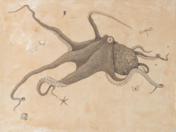 Andrea Collesano VITA (octopus) , 2022 Ink on Paper 23.62 x 31.5ins (60 x 80cm) (artwork size) 29.13 x 36.61ins (74 x 93cm) (framed size) Signed and dated on reverse