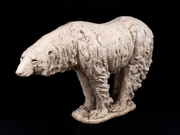 Tanya Brett, Polar Bear, 2023