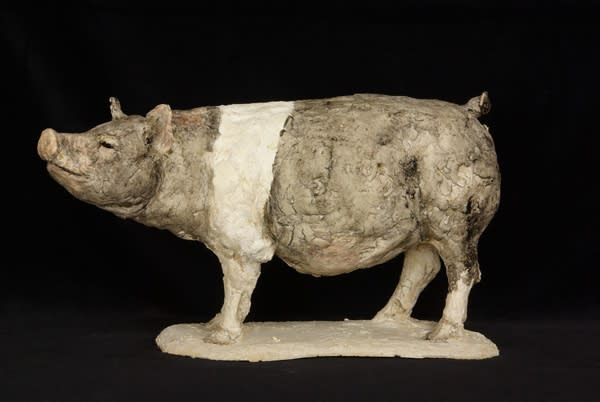 Tanya Brett, Pig