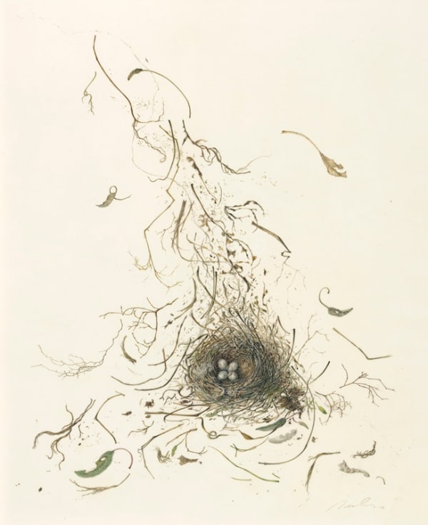 Kate Nessler, Nest With Sage
