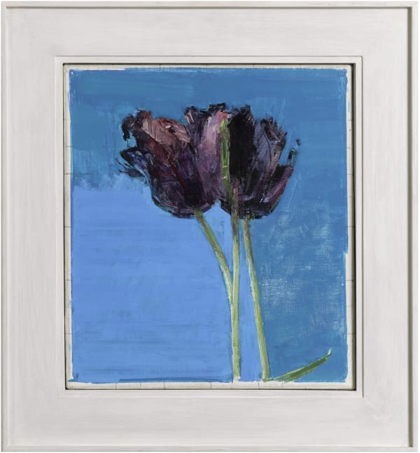 Ben Henriques Parrot Tulips, 2018 Oil on canvas 17.91 x 16ins (45.5 x 40.6cm) (artwork size) 24.8 x 22.83ins (63 x 58cm) (framed size) Signed on reverse