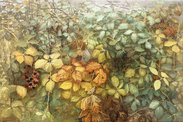 Jane Wormell, Autumnal Blackberries