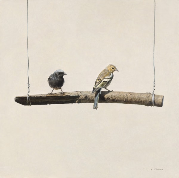 Marzio Tamer Two Birds egg tempera on panel 19.69 x 19.69ins (50 x 50cms) (artwork size)