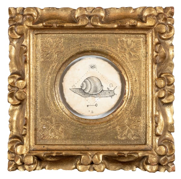 Andrea Collesano, LUNGA VITA ( SNAIL ) , 2022