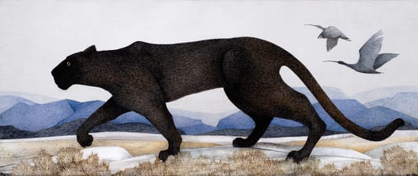 Harriet Bane, The Panther, 2023