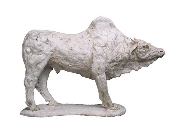 Tanya Brett, Sacred Cow