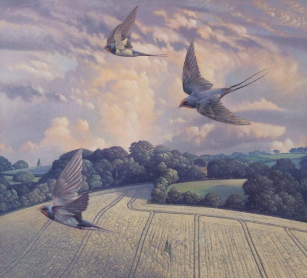 James Lynch Swallows Dancing Hill, 2021 Egg tempera on gesso coated wood panel 38 x 42ins (95 x 105cm) (artwork size) 42.71 x 46.65ins (108.5 x 118.5cm) (framed size)