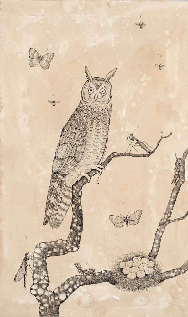 Andrea Collesano NOCTIS LEVITAS, 2023 Ink on paper 19.68 x 11.81ins (50 x 30cm) (artwork size) 25.19 x 17.32ins (64 x 44cm) (framed size)